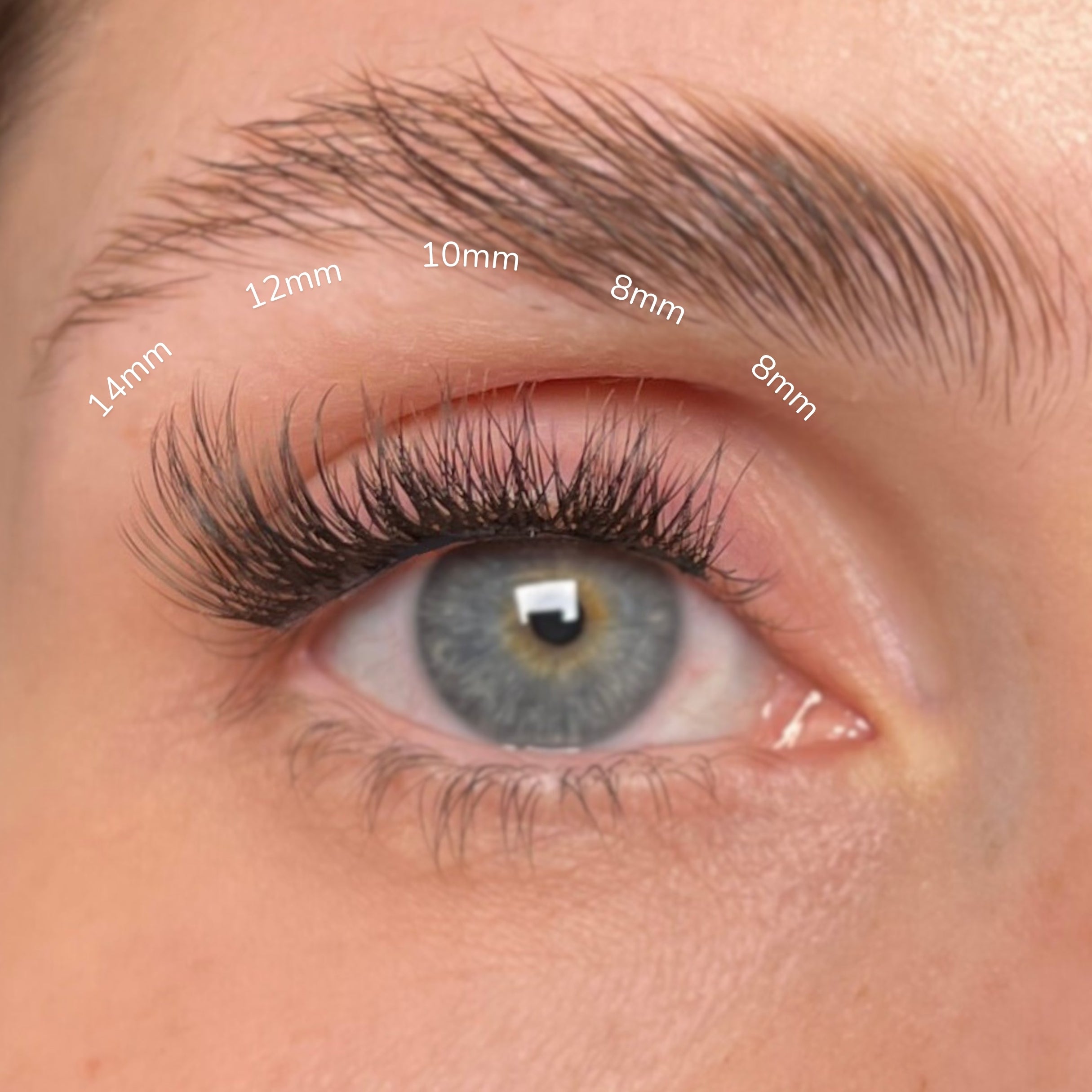 Lashable LASH BAND Vol. 1 – řasové pásky